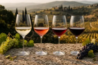 Italian Grape Varieties: How to Choose by Grape Family
