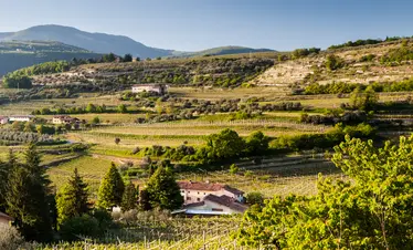 Valpolicella 101: all you need to know