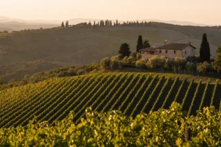 Best Wineries in Tuscany to Visit: Where to Taste, Tour and Stay