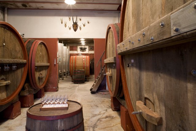 Azienda Agricola Fratelli Bucci