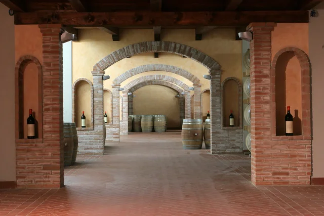 Agricola Punica