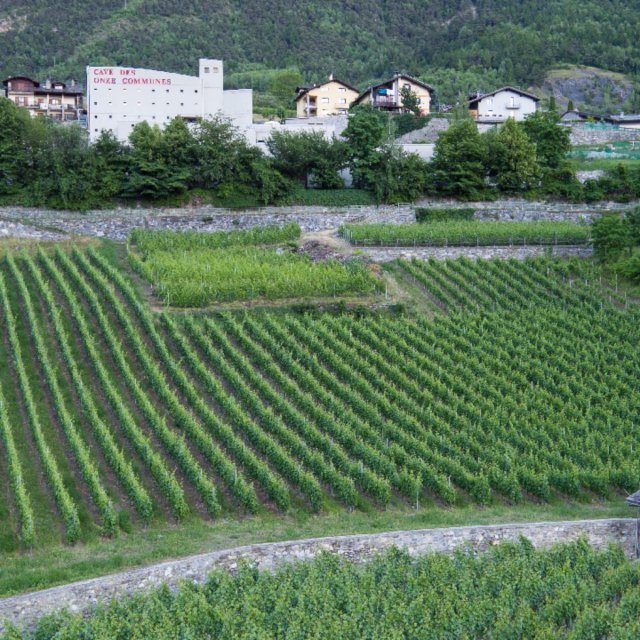 Cave des Onze Communes