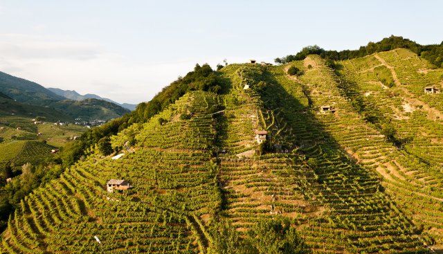 Azienda Agricola Bisol