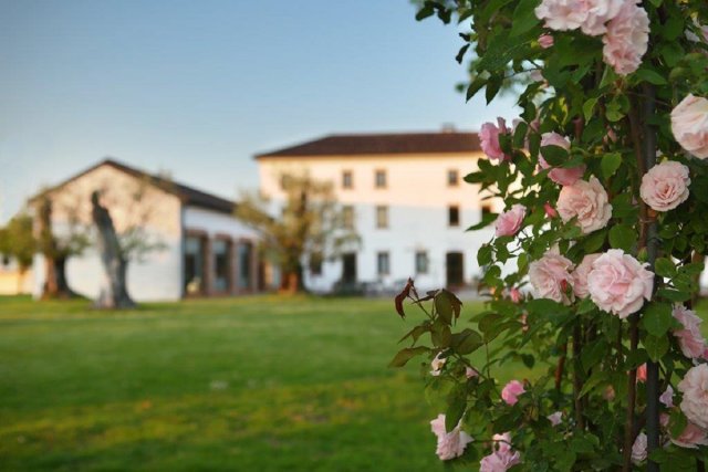 Bottega