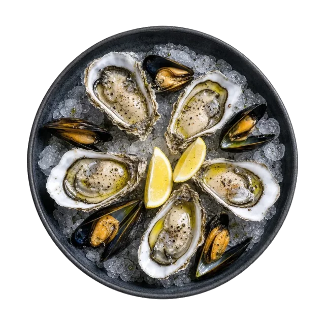 Oysters, plated