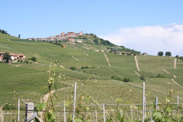 Azienda Agricola Poderi Marcarini