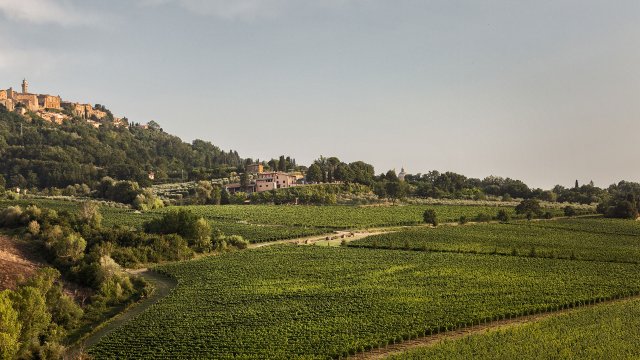 Azienda Agricola Canneto