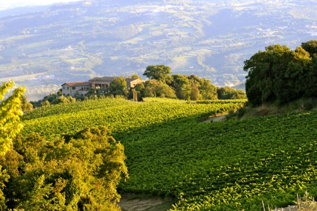 Tenuta Vitalonga