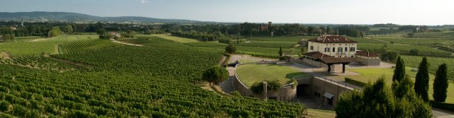 Azienda Agricola Schiopetto