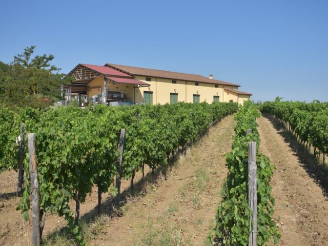 Azienda Agricola Custodi