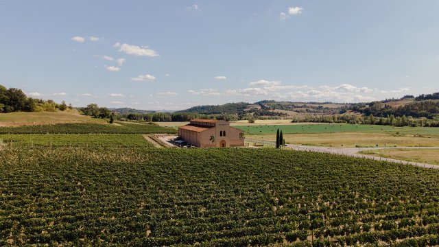 Castellani