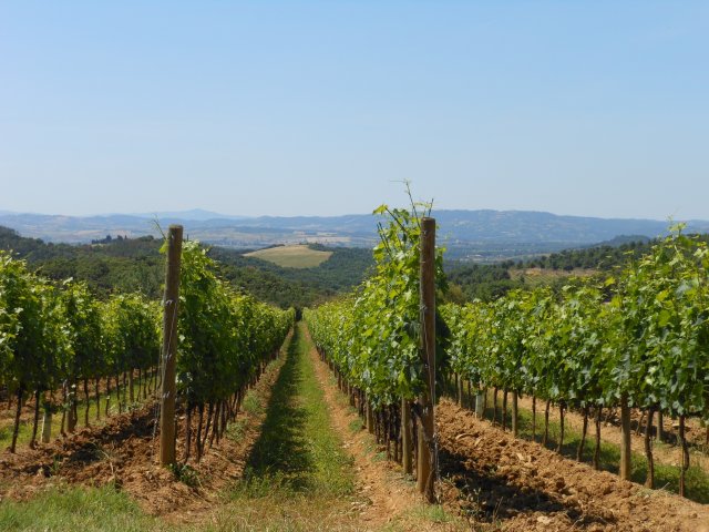 Castello di Camigliano