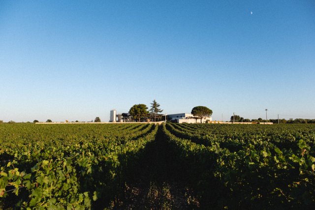 Cantine Polvanera