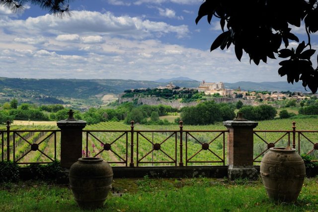 Tenuta Le Velette