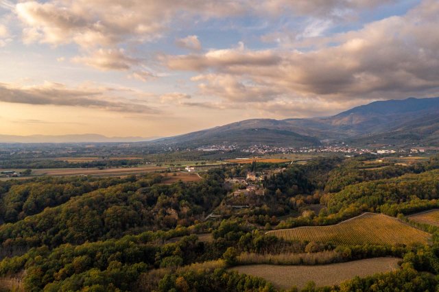 Tenuta Sette Ponti