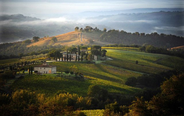 Azienda Agricola Decugnano dei Barbi