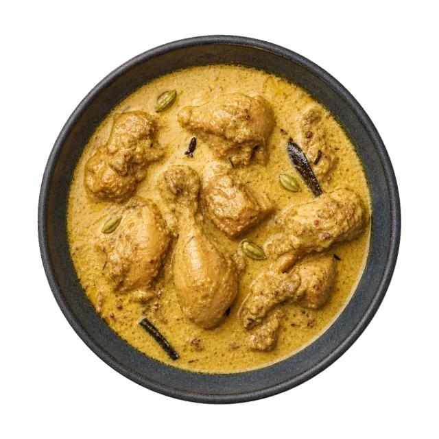 Chicken korma, plated