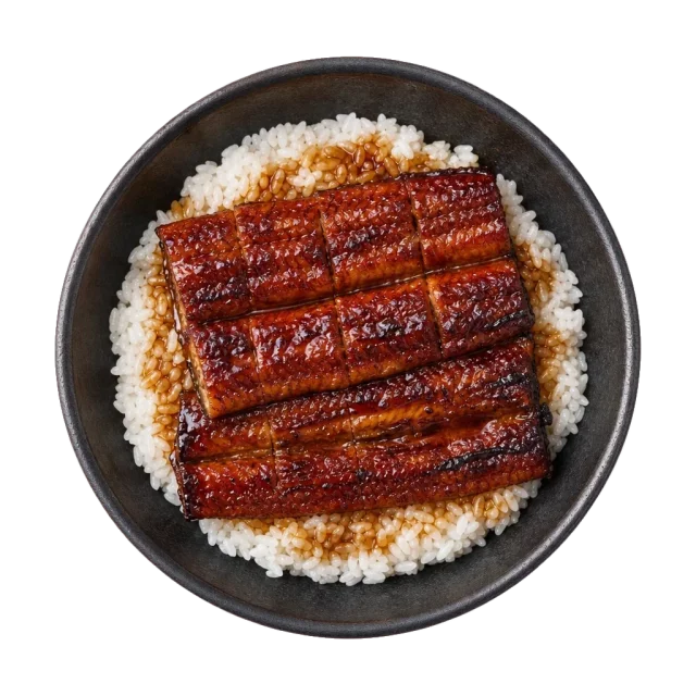 Unagi, plated
