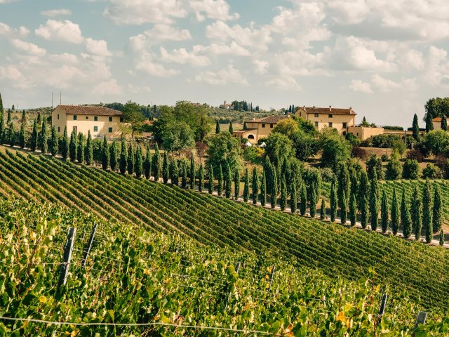 Cantine Leonardo da Vinci