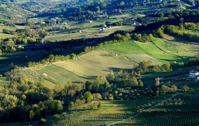 Azienda Agricola Masciarelli