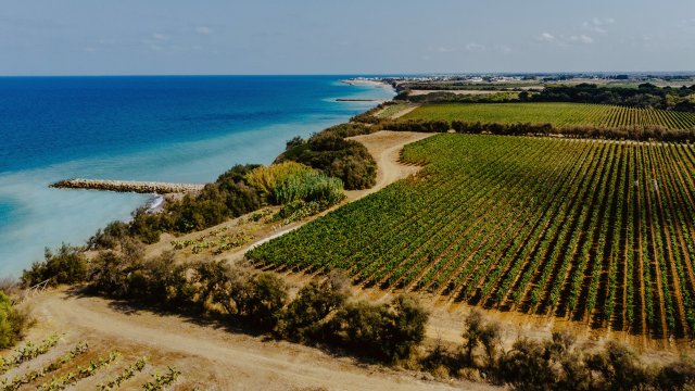 Tormaresca
