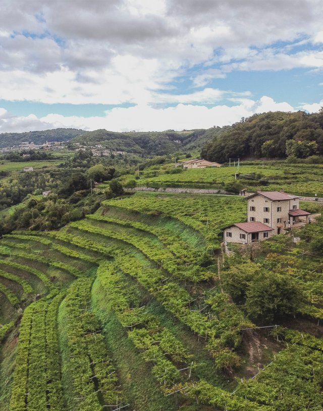 Azienda Agricola Masi