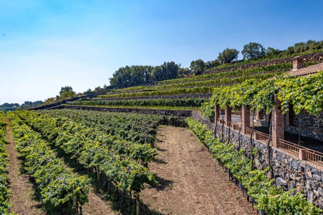 Orestiadi Vini