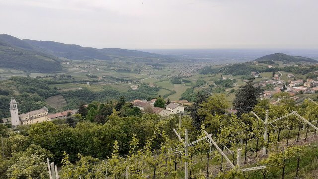 Giuseppe Quintarelli