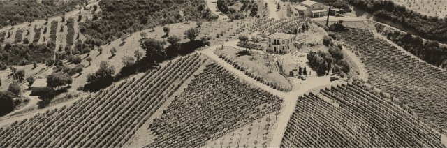 Azienda Agricola Serracavallo