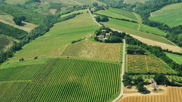 Azienda Agricola Tre Monti