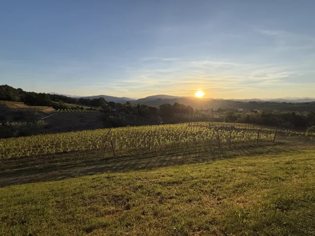 Spolert Winery