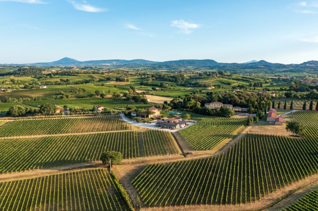 Fattoria Svetoni