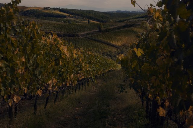 Winestillery