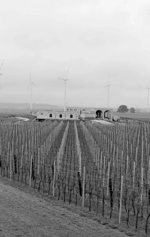 L'Archetipo