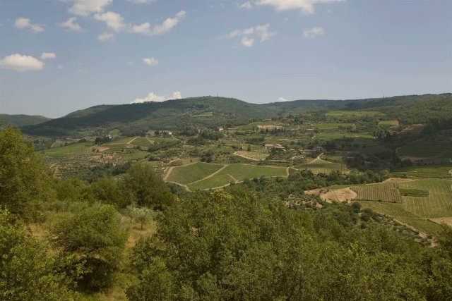 Lamole di Lamole