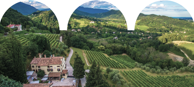 Tenuta di Ville d Arfanta