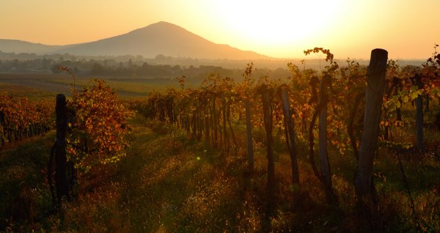 Ca&rsquo; Avignone