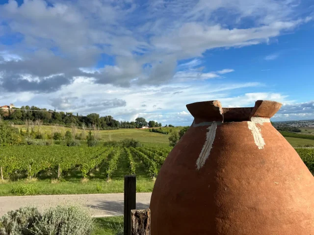 Tenuta La Viola