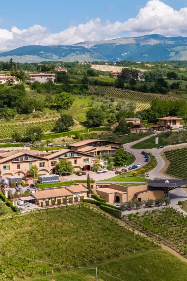 Azienda Agricola Ciccio Zaccagnini