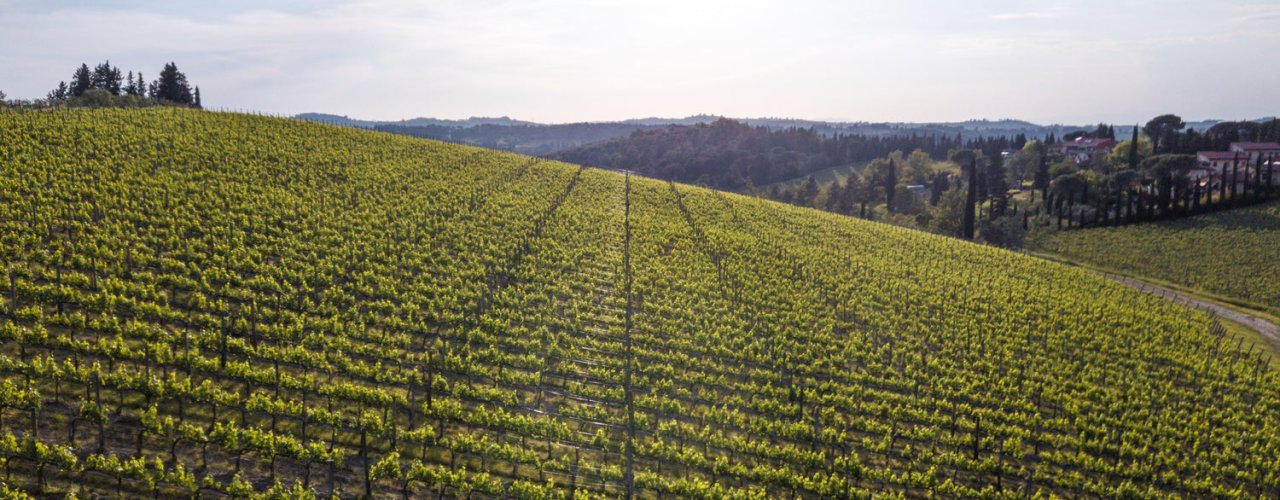 Ruffino winery image 1