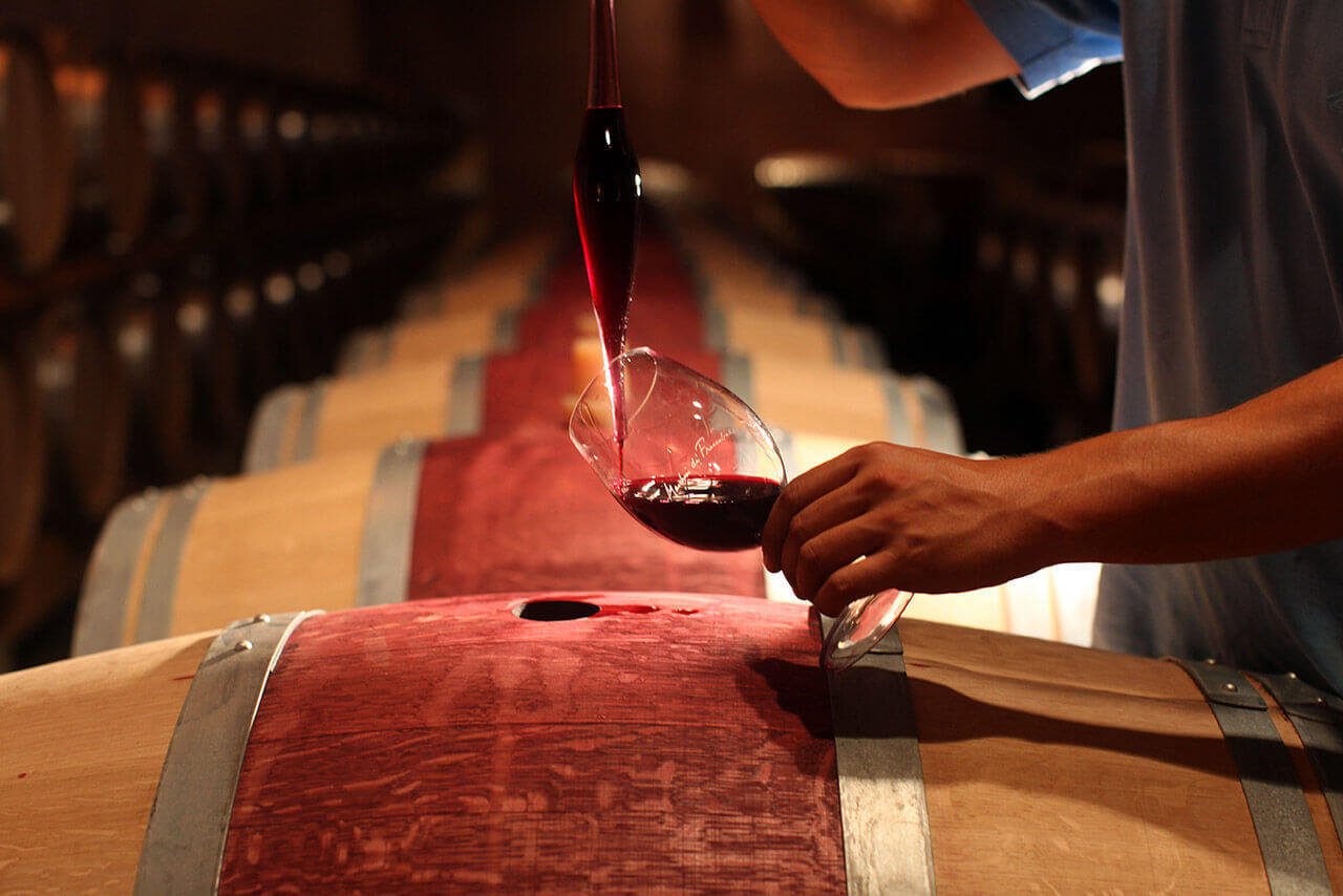 Castello Nipozzano estate tasting at Marchesi de&rsquo; Frescobaldi