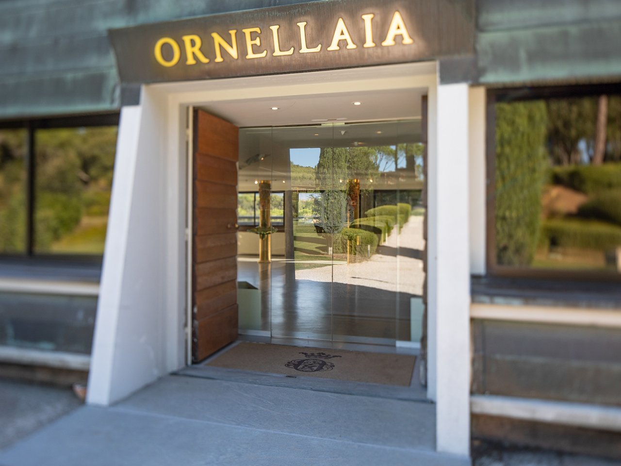 Visit to the winery at Ornellaia