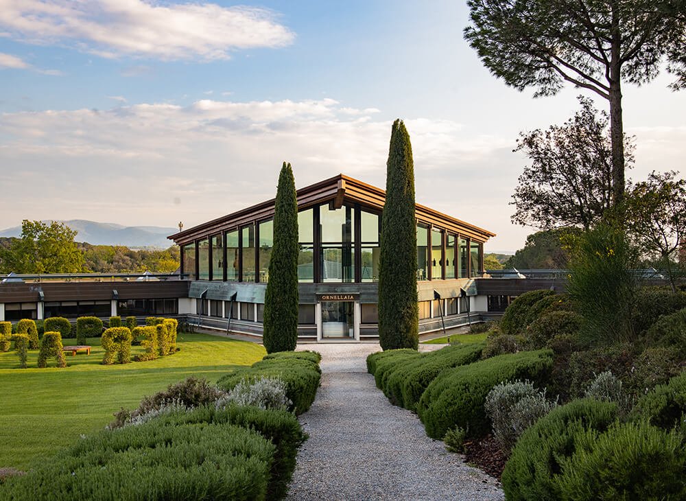 Ornellaia winery image 2