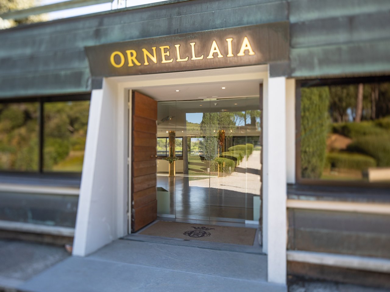 Ornellaia winery image 3