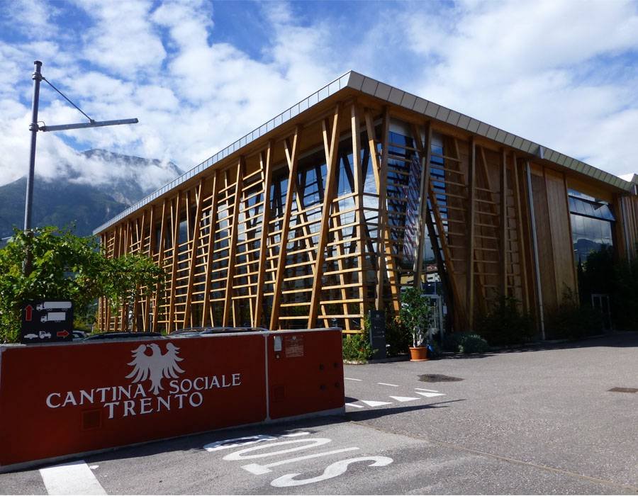 Cantina Sociale di Trento winery image 3