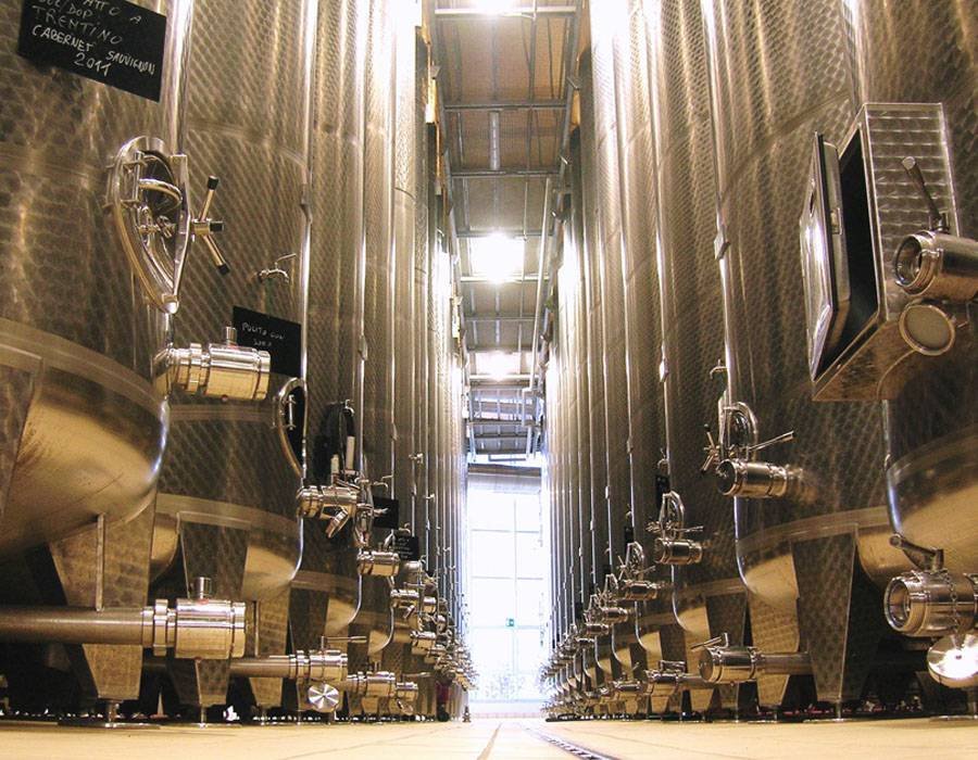 Guided visit at the Volano winery at Cantina Sociale di Trento