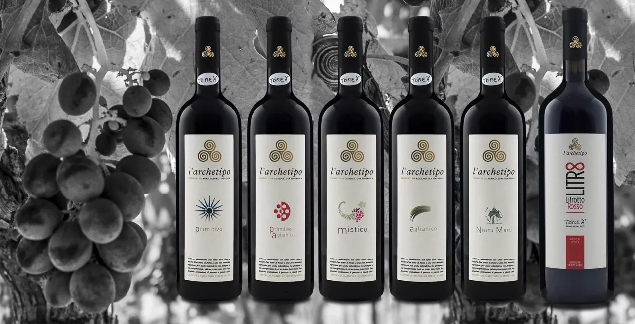 L'Archetipo winery image 5