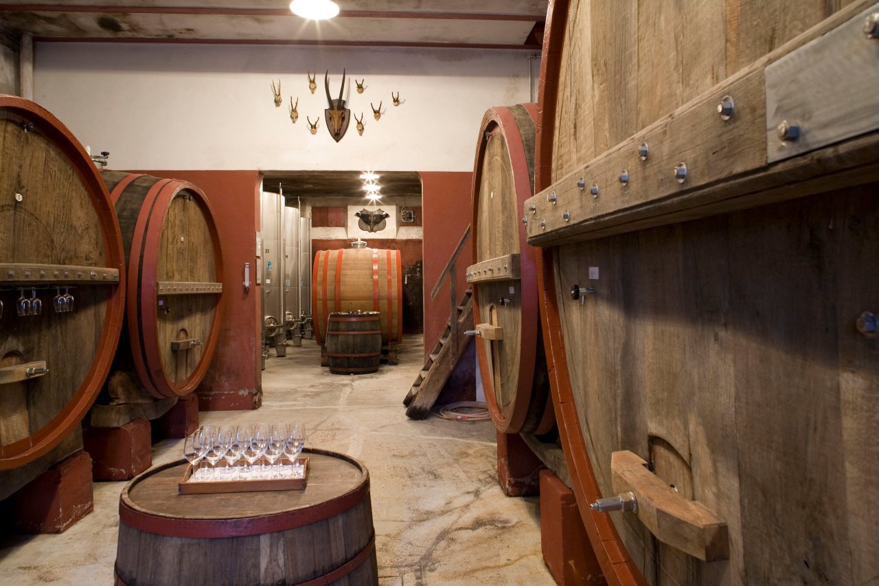 Azienda Agricola Fratelli Bucci winery image 1
