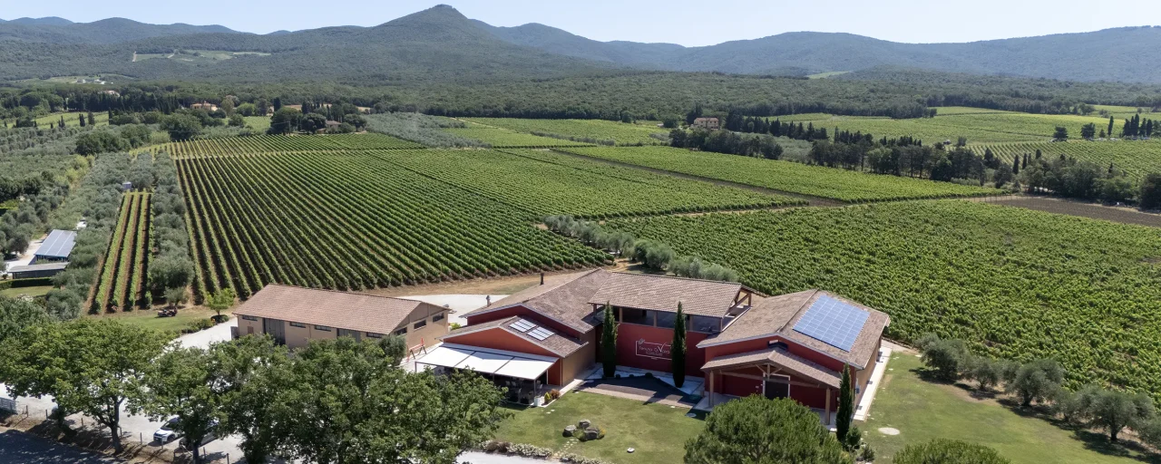 Aerial view of the red Tenuta Di Vaira winery buildings surrounded by vineyards, with wooded hills behind.