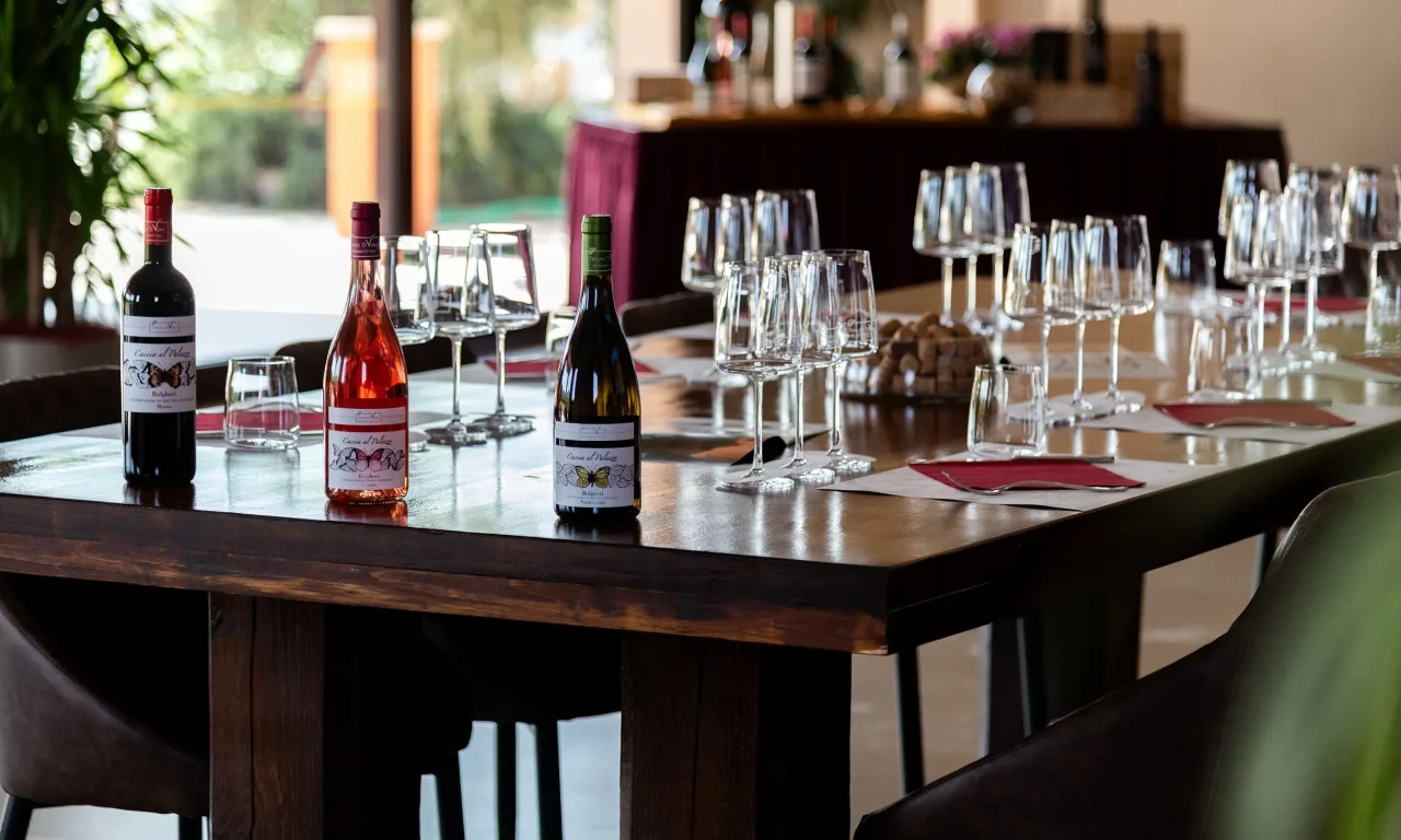 Three Caccia al Palazzo bottles and rows of wine glasses set out on a long table in the Tenuta Di Vaira tasting room.